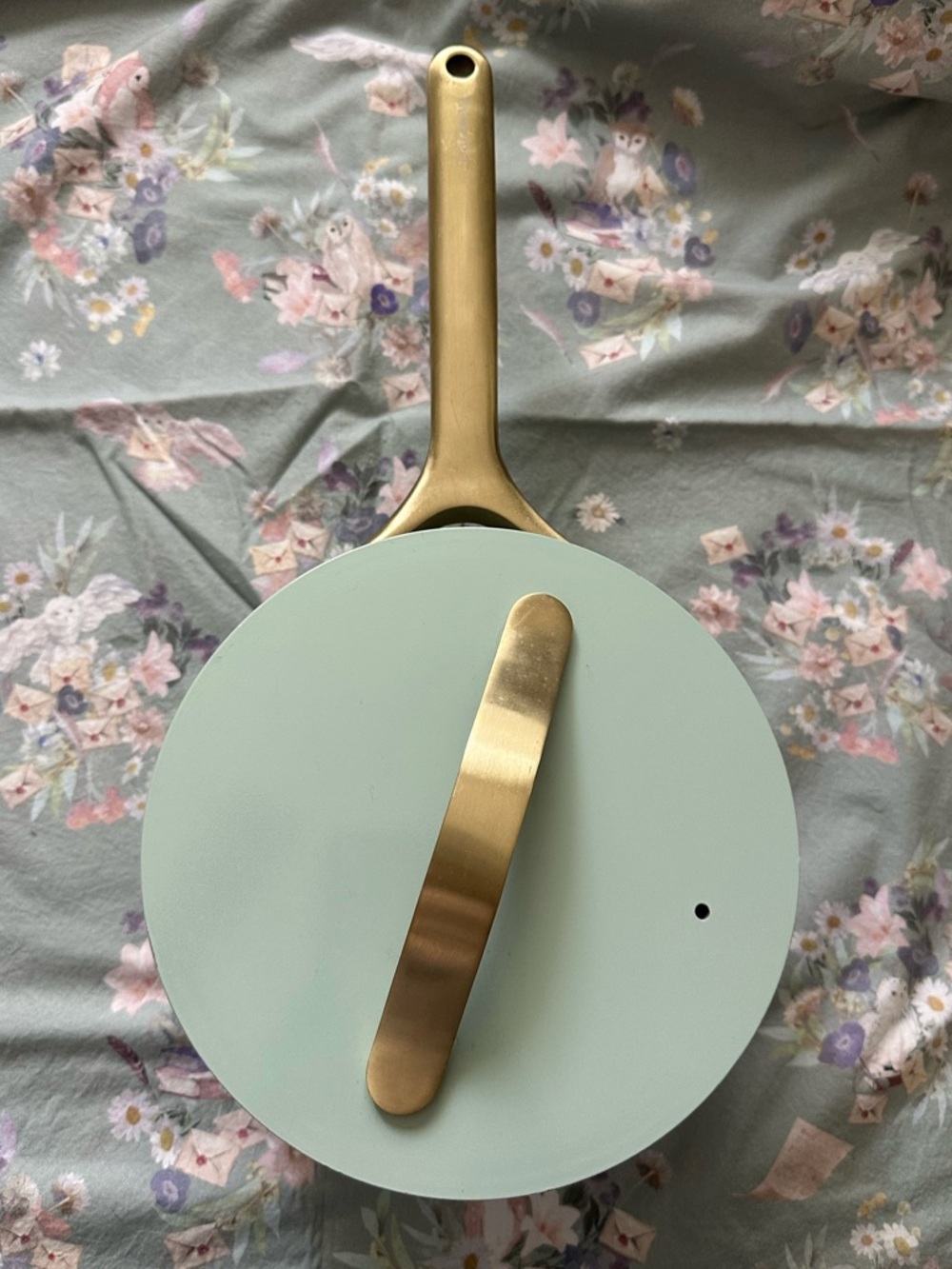 Caraway 1.75 qt Non-Stick Ceramic Mini Sauce Pan w Lid Silt Green +Bonus Storage